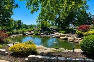Koi pond at Valhalla Post Acute